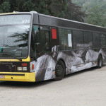 BUS-2